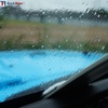 image:imageRockRose Standard Tail Fin Precision Squeegee  Engineered for Flawless Application in Automotive Tinting and Detailing Projects 1Scrubber